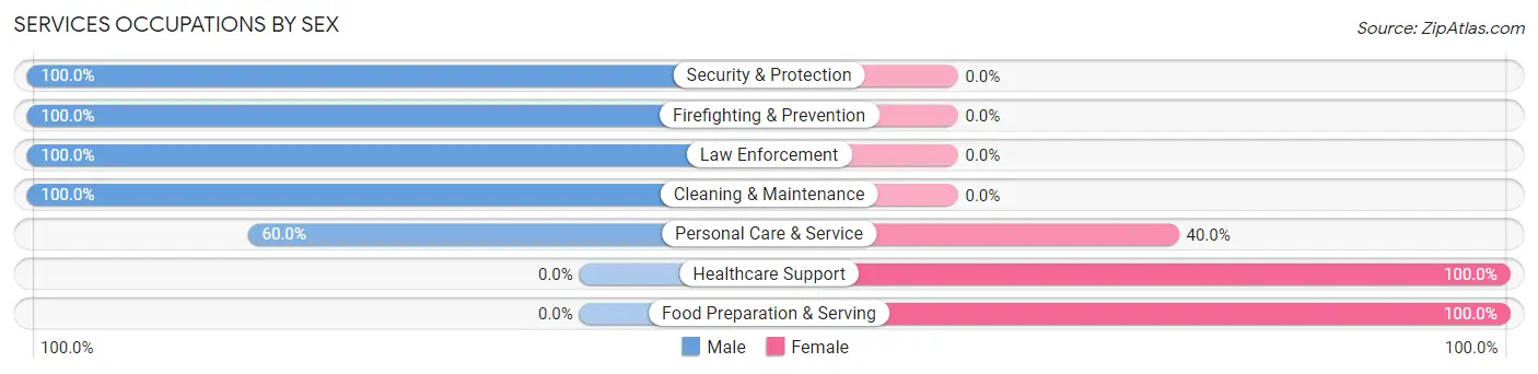 Services Occupations by Sex in Zip Code 82729