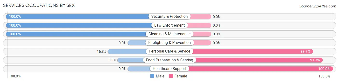 Services Occupations by Sex in Zip Code 82941