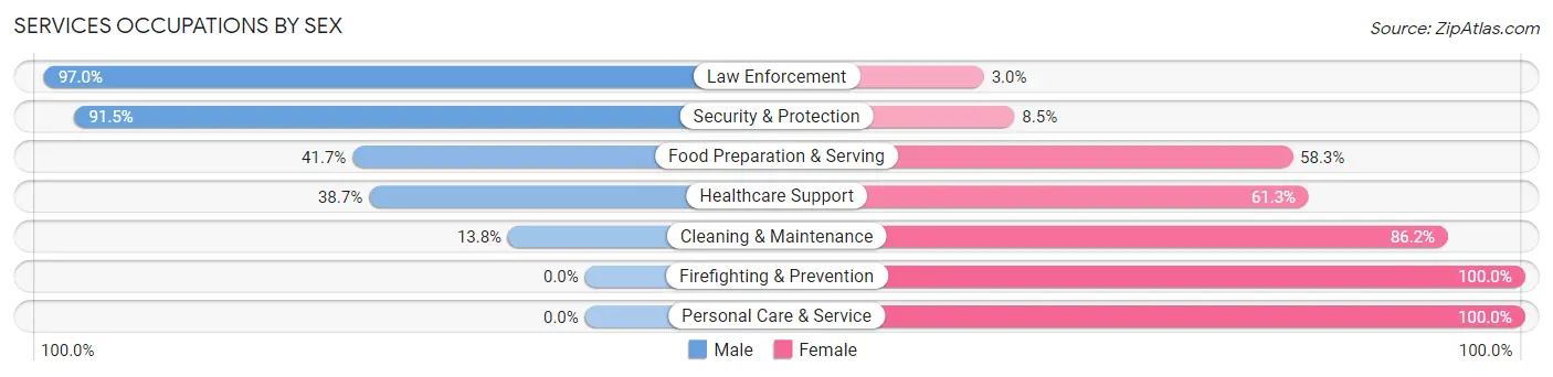 Services Occupations by Sex in Zip Code 83110