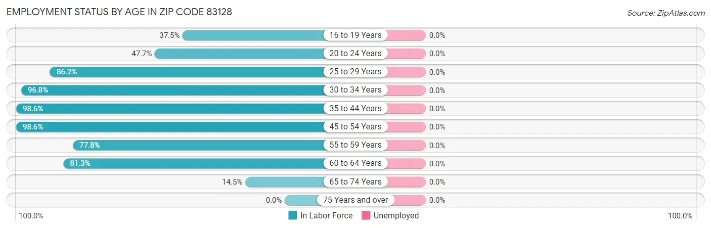 Employment Status by Age in Zip Code 83128