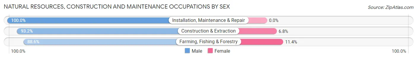 Natural Resources, Construction and Maintenance Occupations by Sex in Zip Code 83210