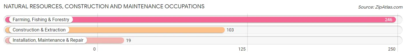 Natural Resources, Construction and Maintenance Occupations in Zip Code 83210