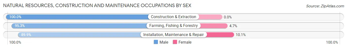 Natural Resources, Construction and Maintenance Occupations by Sex in Zip Code 83211