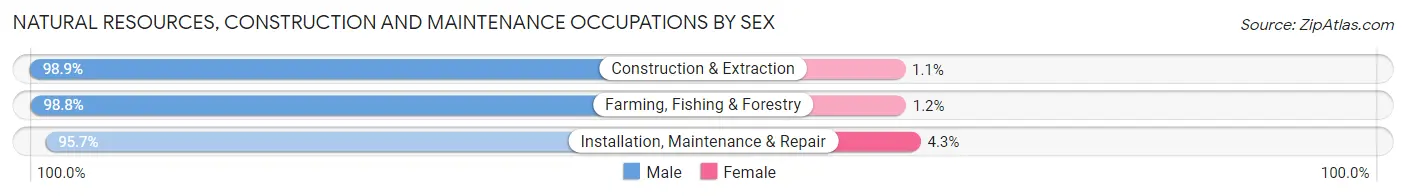 Natural Resources, Construction and Maintenance Occupations by Sex in Zip Code 83316