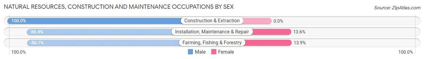 Natural Resources, Construction and Maintenance Occupations by Sex in Zip Code 83328