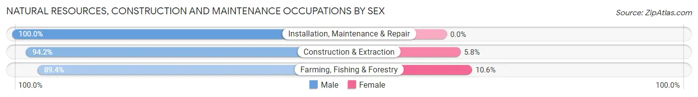 Natural Resources, Construction and Maintenance Occupations by Sex in Zip Code 83334