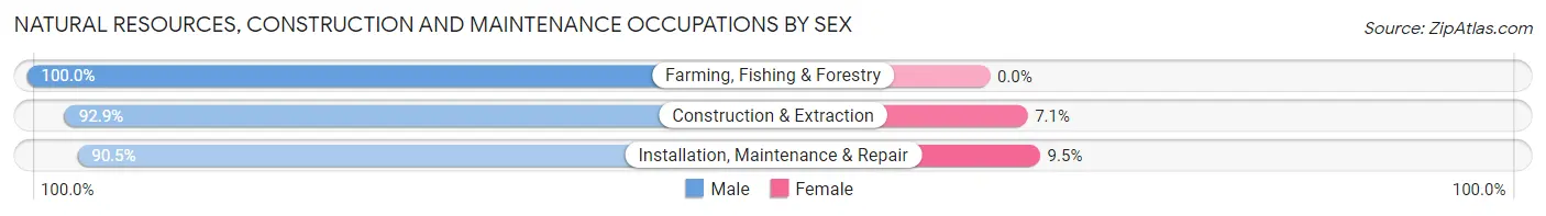 Natural Resources, Construction and Maintenance Occupations by Sex in Zip Code 83349