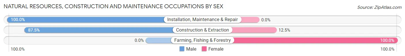 Natural Resources, Construction and Maintenance Occupations by Sex in Zip Code 83429