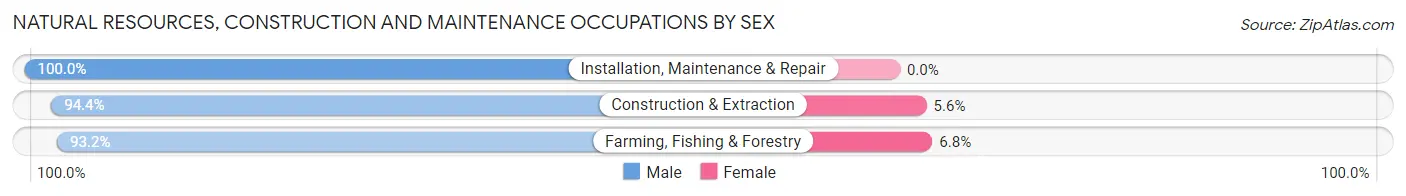 Natural Resources, Construction and Maintenance Occupations by Sex in Zip Code 83536