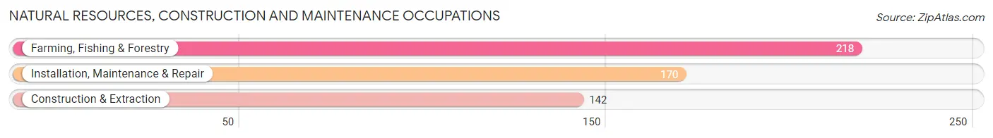 Natural Resources, Construction and Maintenance Occupations in Zip Code 83619