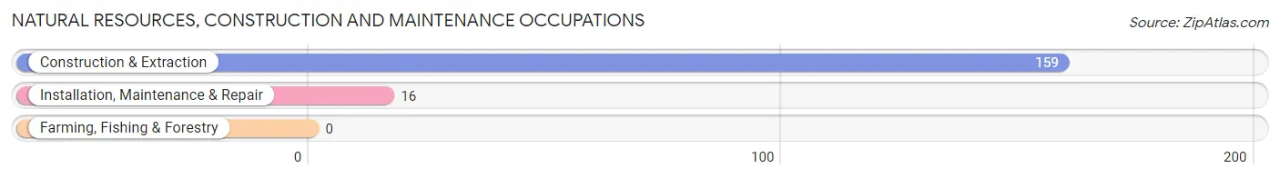 Natural Resources, Construction and Maintenance Occupations in Zip Code 83629