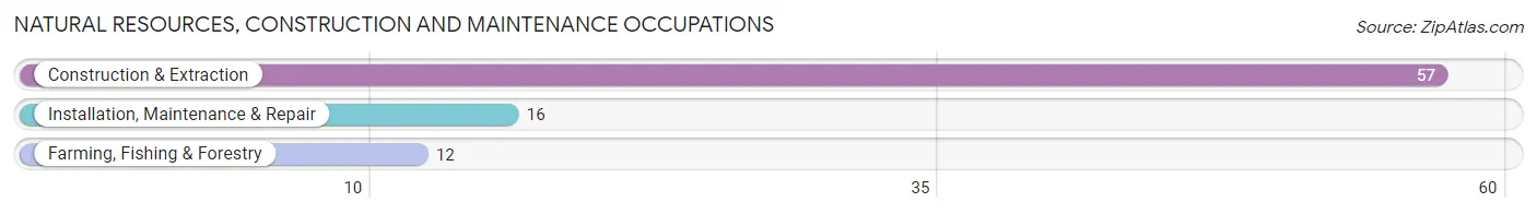 Natural Resources, Construction and Maintenance Occupations in Zip Code 83656