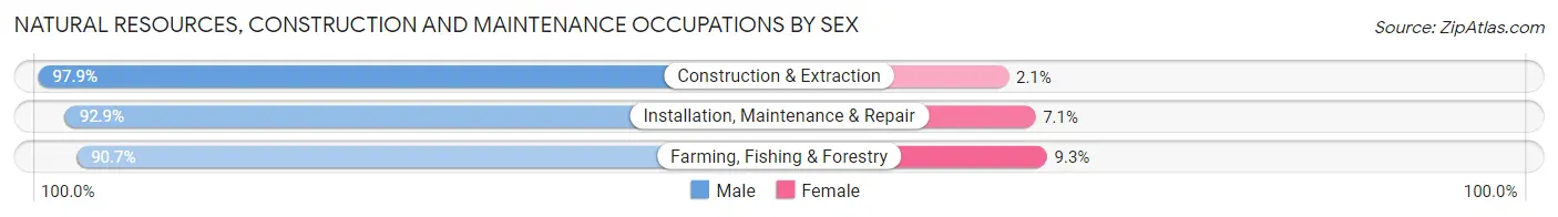 Natural Resources, Construction and Maintenance Occupations by Sex in Zip Code 83687