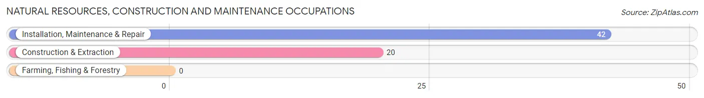 Natural Resources, Construction and Maintenance Occupations in Zip Code 83804