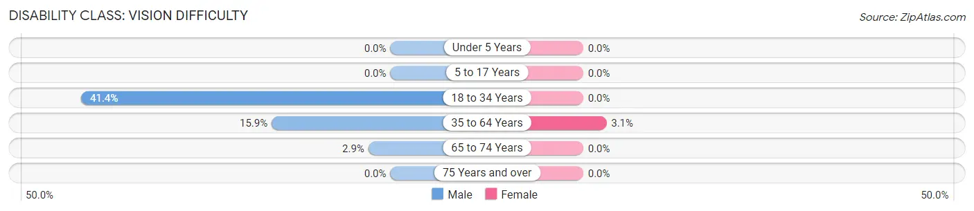 Disability in Zip Code 83804: <span>Vision Difficulty</span>