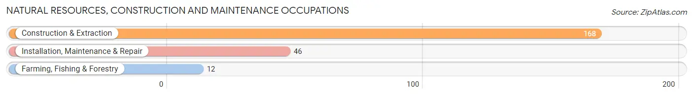 Natural Resources, Construction and Maintenance Occupations in Zip Code 83849