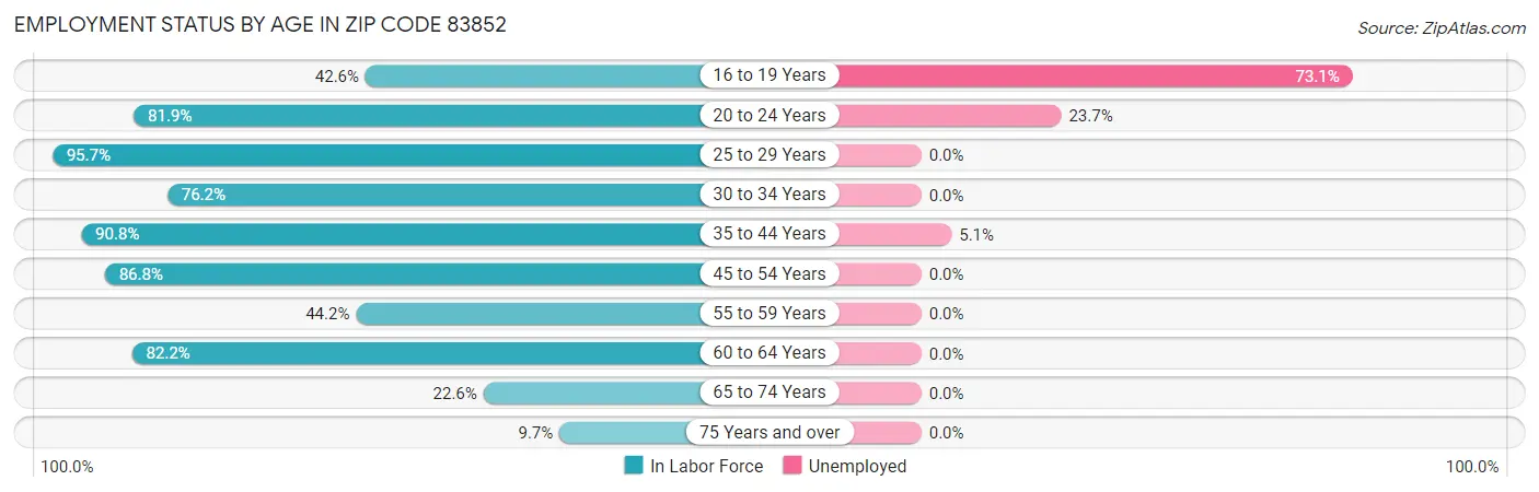 Employment Status by Age in Zip Code 83852