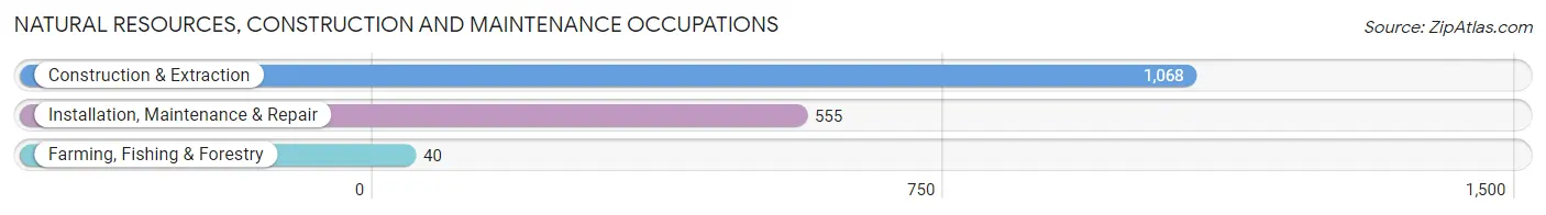 Natural Resources, Construction and Maintenance Occupations in Zip Code 83858