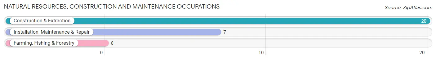 Natural Resources, Construction and Maintenance Occupations in Zip Code 84002