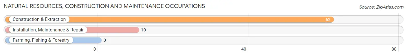 Natural Resources, Construction and Maintenance Occupations in Zip Code 84013