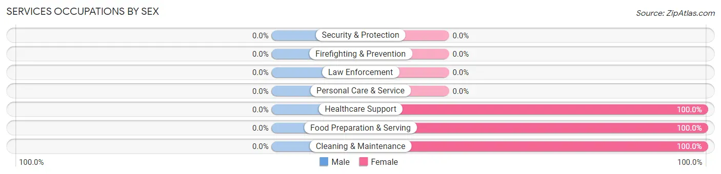 Services Occupations by Sex in Zip Code 84027