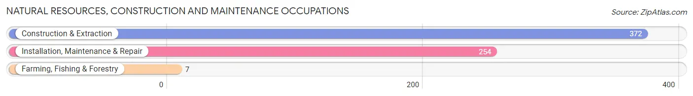 Natural Resources, Construction and Maintenance Occupations in Zip Code 84029