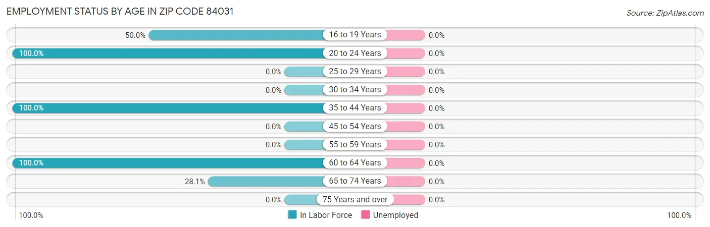 Employment Status by Age in Zip Code 84031