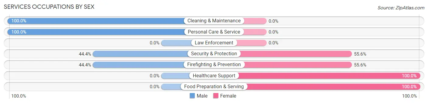Services Occupations by Sex in Zip Code 84038