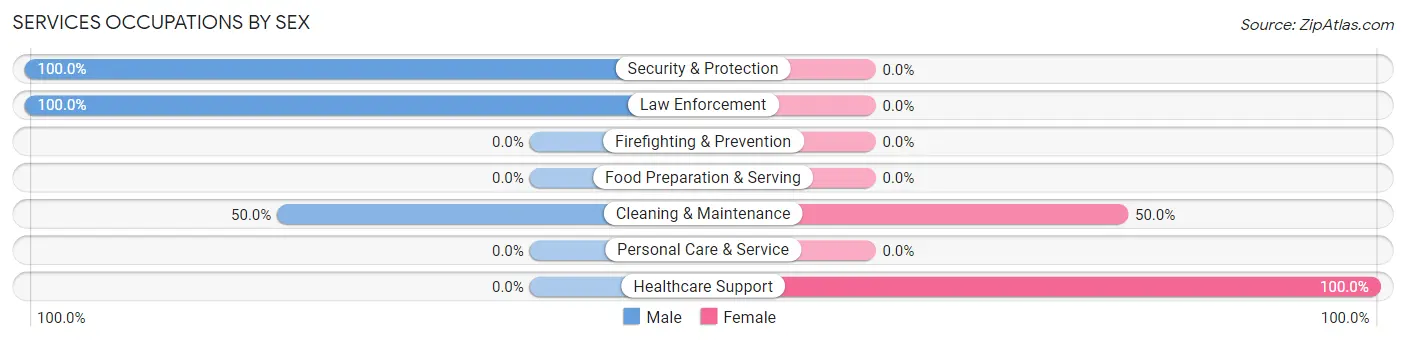 Services Occupations by Sex in Zip Code 84053
