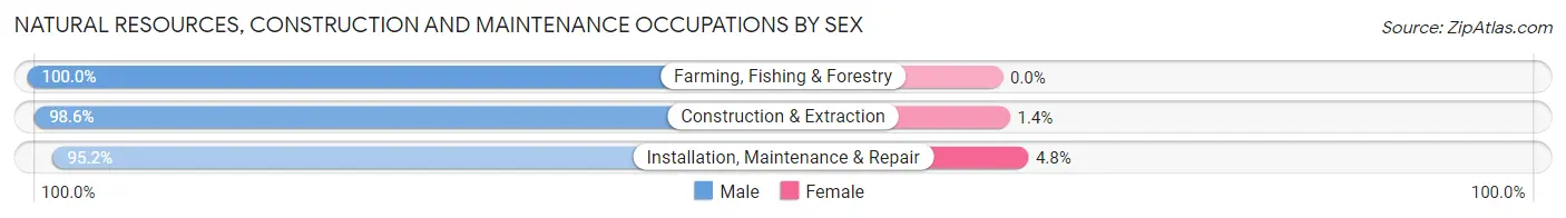 Natural Resources, Construction and Maintenance Occupations by Sex in Zip Code 84062