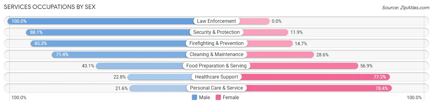Services Occupations by Sex in Zip Code 84062