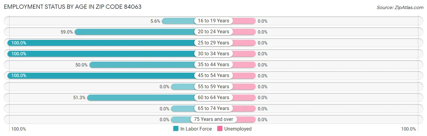 Employment Status by Age in Zip Code 84063