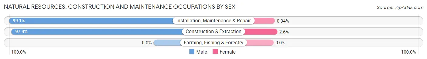 Natural Resources, Construction and Maintenance Occupations by Sex in Zip Code 84084
