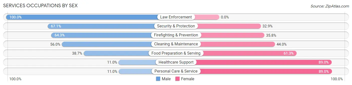 Services Occupations by Sex in Zip Code 84119