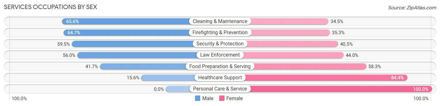 Services Occupations by Sex in Zip Code 84302
