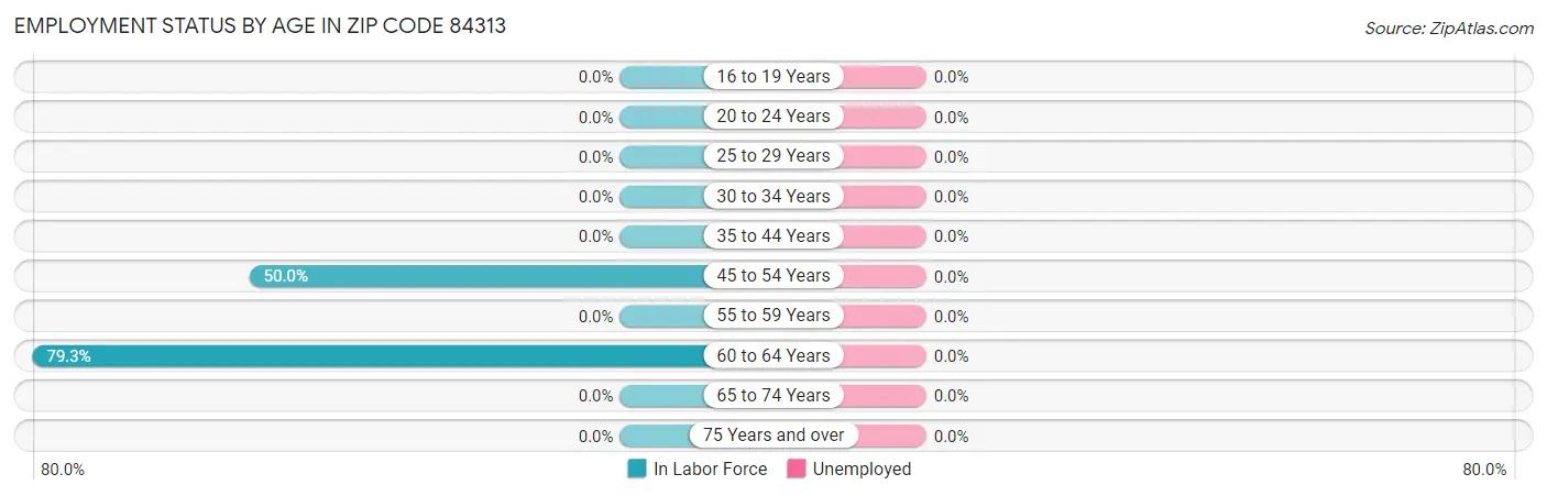 Employment Status by Age in Zip Code 84313