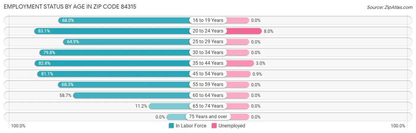 Employment Status by Age in Zip Code 84315