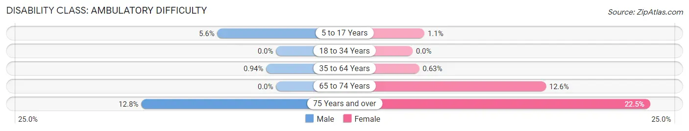 Disability in Zip Code 84325: <span>Ambulatory Difficulty</span>