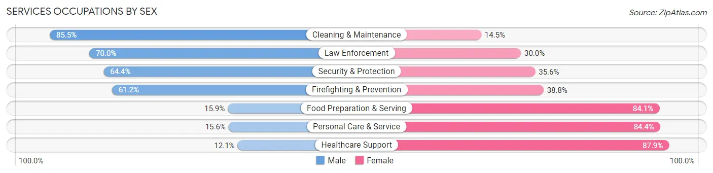 Services Occupations by Sex in Zip Code 84335