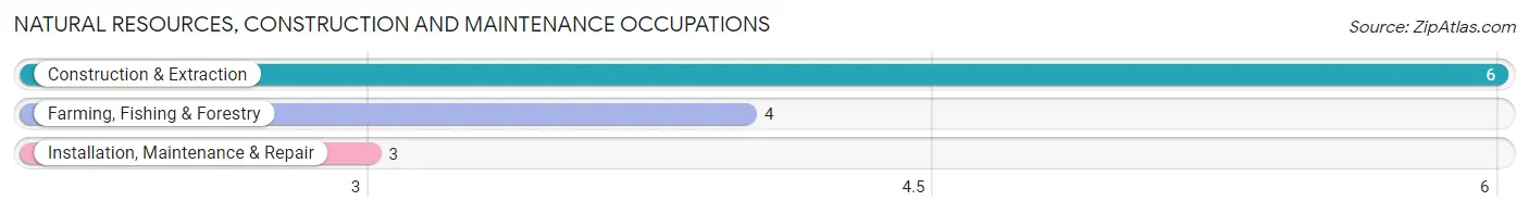 Natural Resources, Construction and Maintenance Occupations in Zip Code 84336