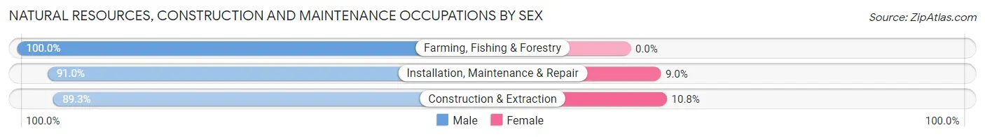 Natural Resources, Construction and Maintenance Occupations by Sex in Zip Code 84339