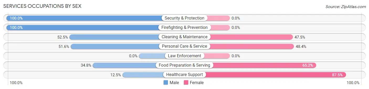 Services Occupations by Sex in Zip Code 84340