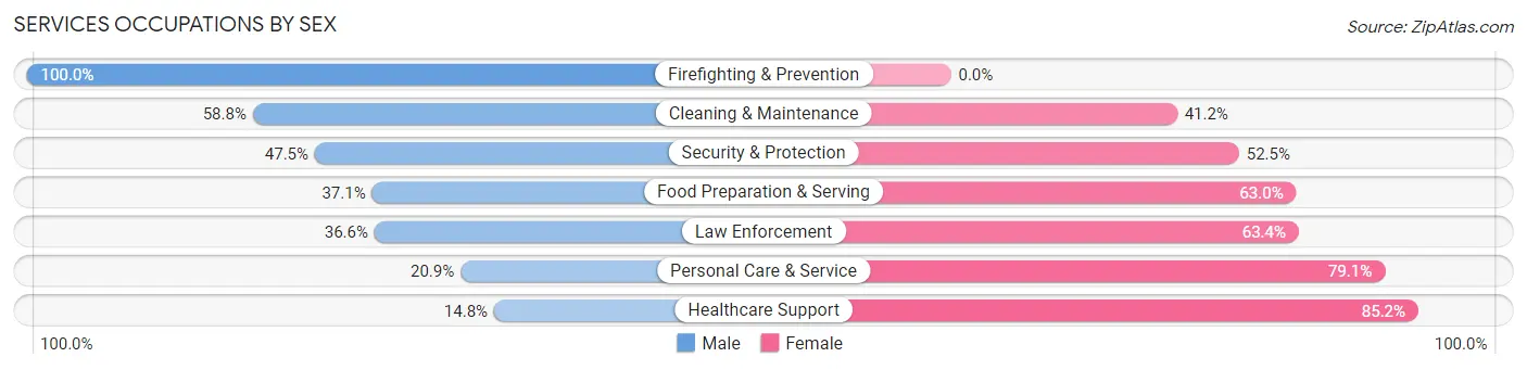 Services Occupations by Sex in Zip Code 84341