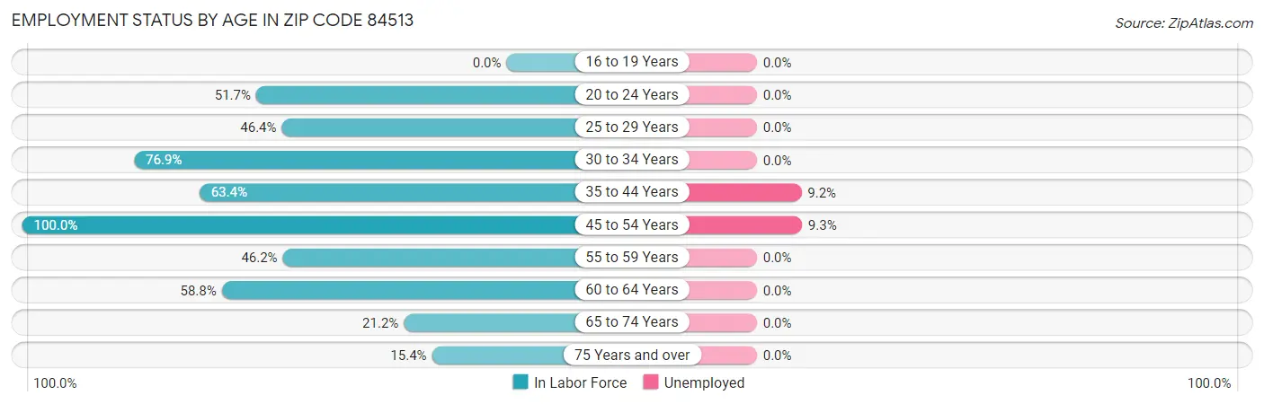 Employment Status by Age in Zip Code 84513
