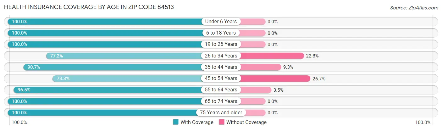 Health Insurance Coverage by Age in Zip Code 84513
