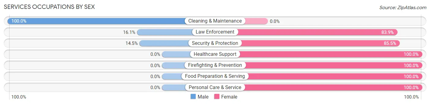 Services Occupations by Sex in Zip Code 84523