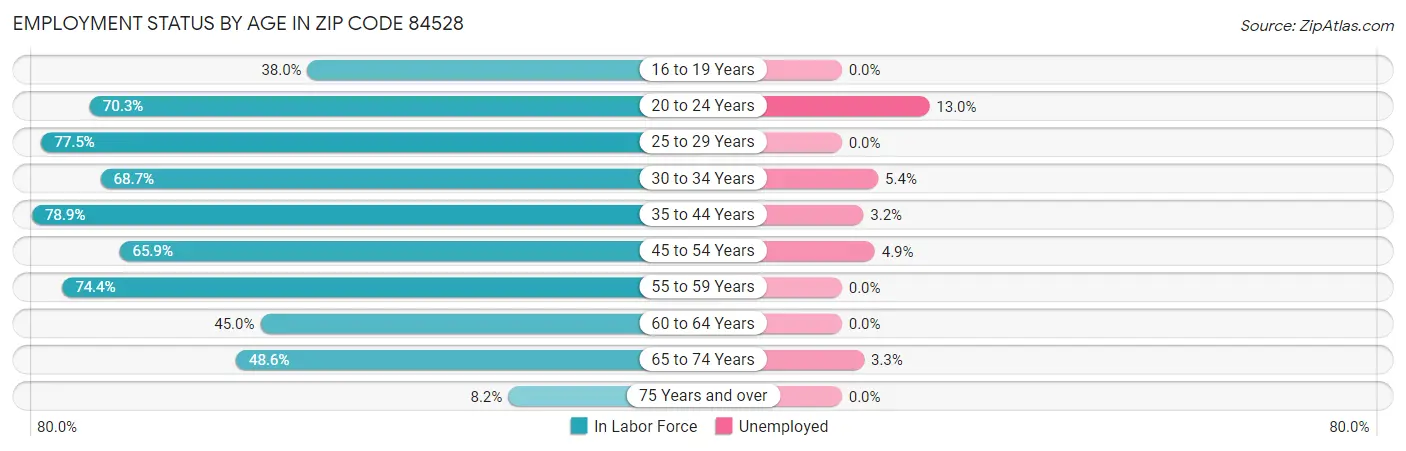 Employment Status by Age in Zip Code 84528