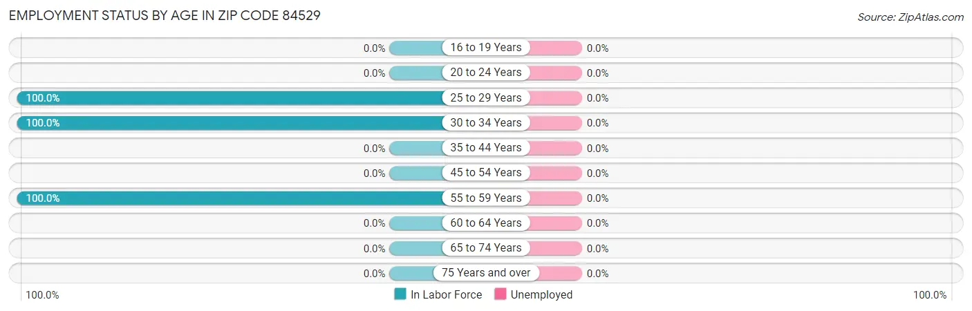 Employment Status by Age in Zip Code 84529