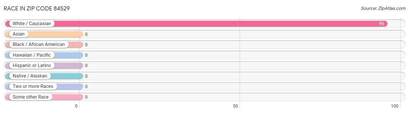 Race in Zip Code 84529
