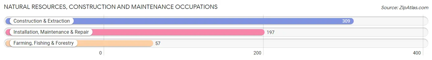 Natural Resources, Construction and Maintenance Occupations in Zip Code 84532